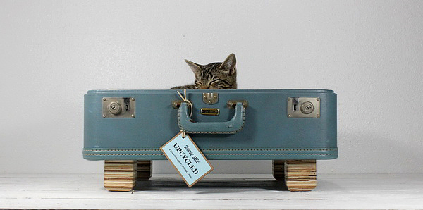 куфар легло за котки